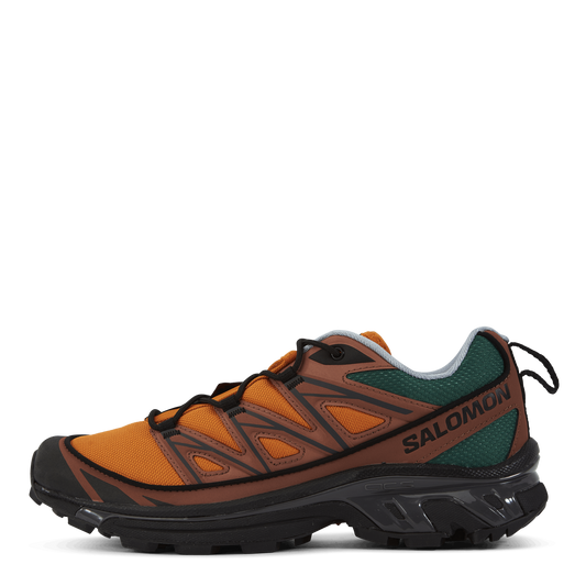 Xt-6 Expanse 75th Golden Oak/a